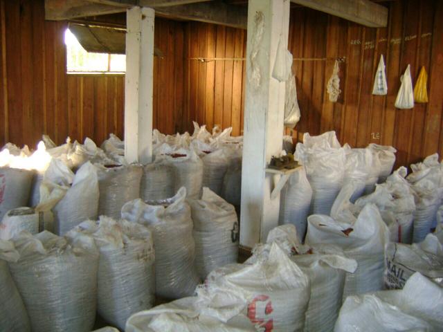 Fazenda em Travessão - Foto 9