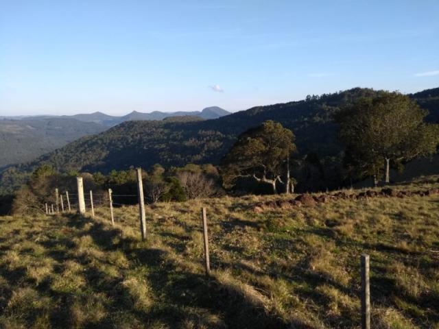 Sítio 12,0 hectares - samambaia - são francisco de paula - rs - Foto 8