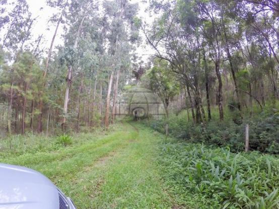 Chácara à venda em Picassinho, Piên cod:136674 - Foto 13