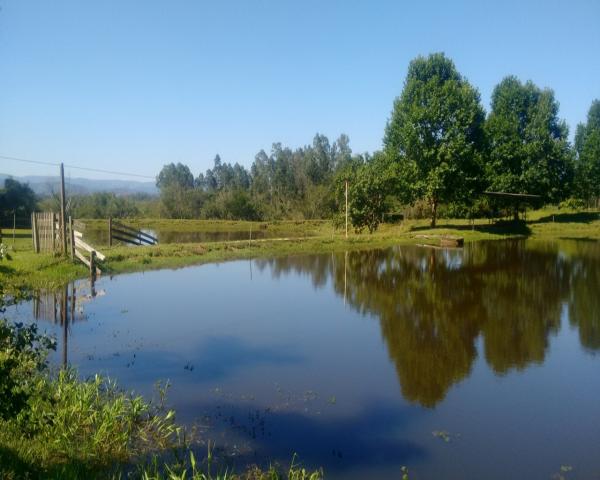 Sítio 46 hectares - lomba grande - novo hamburgo - rs - Foto 13