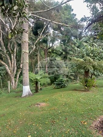 Chácara à venda em Planta laranjeiras, Piraquara cod:136698 - Foto 4