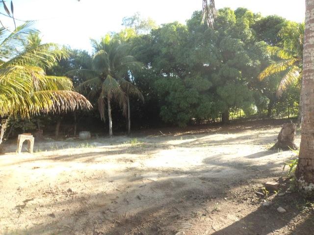 Terreno/Lote/Loteamento 13.000m2 em Tejucopapo, Troco em Automóvel, Excelente Localização - Foto 4