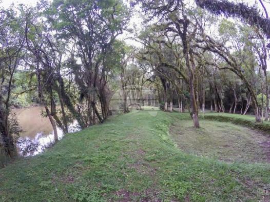 Chácara à venda em Picassinho, Piên cod:136674 - Foto 20