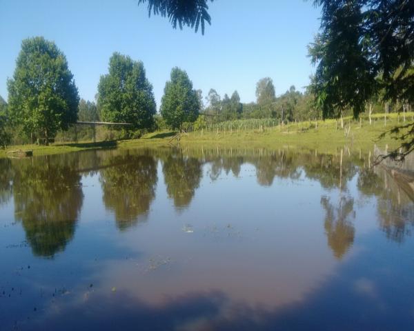 Sítio 46 hectares - lomba grande - novo hamburgo - rs - Foto 10