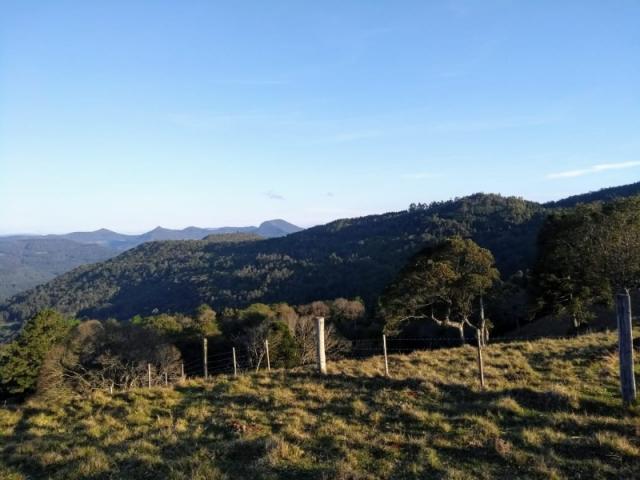 Sítio 12,0 hectares - samambaia - são francisco de paula - rs - Foto 7