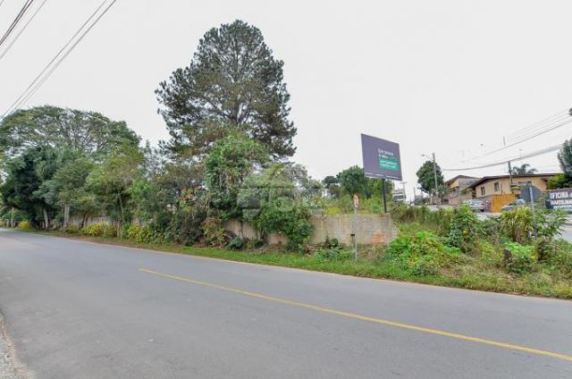 Apartamento à venda com 2 dormitórios em Butiatuvinha, Curitiba cod:144470 - Foto 12