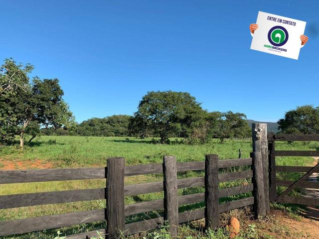 Fazenda região de rosário oeste - Foto 5