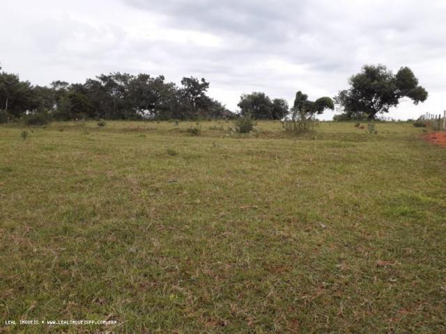Chácara para venda em martinópolis, km 5 - Foto 17