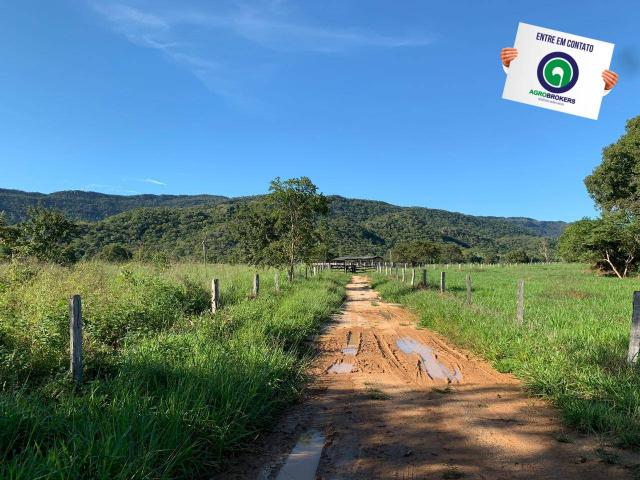 Fazenda região de rosário oeste - Foto 9