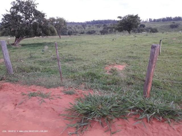 Chácara para venda em martinópolis, km 5 - Foto 13