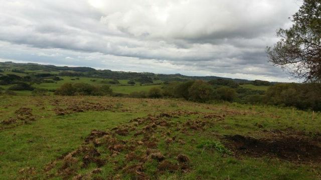 Área especial para sitio ou hortifrutigranjeiros com 12.5 HA - Foto 13