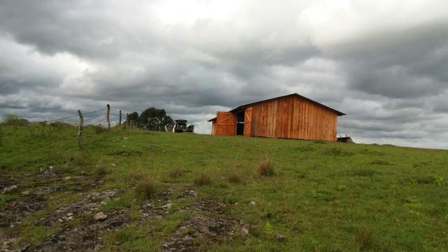 Área especial para sitio ou hortifrutigranjeiros com 12.5 HA - Foto 7