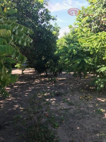 Chácara à venda, 38 m² por R$ 1.100.000 - Iguaíba - Paço do Lumiar/Maranhão - Foto 10