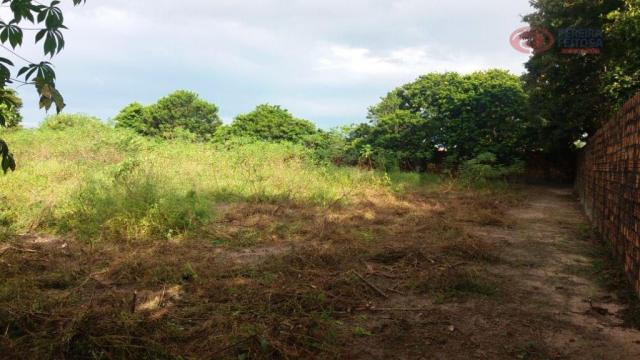 Chacara com pomar. - Foto 6