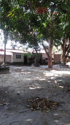 Terreno rural à venda, Turu, São Luís - TE0137. - Foto 9