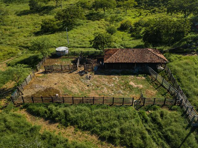 Magnífica fazenda 3.330 tarefas, a 23 km de jequié, br 116 na porta - Foto 5