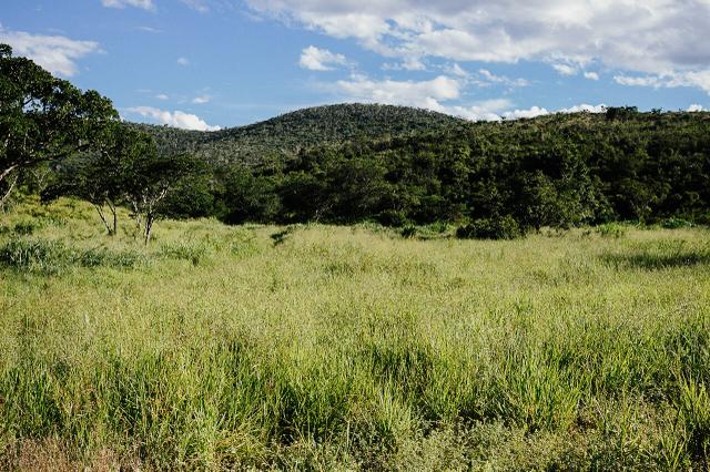 Magnífica fazenda 3.330 tarefas, a 23 km de jequié, br 116 na porta - Foto 9