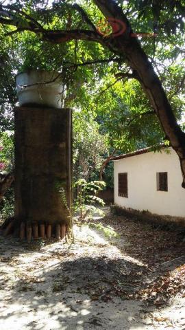 Terreno rural à venda, Turu, São Luís - TE0137. - Foto 6