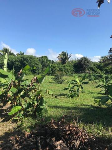 Chácara à venda, 38 m² por R$ 1.100.000 - Iguaíba - Paço do Lumiar/Maranhão
