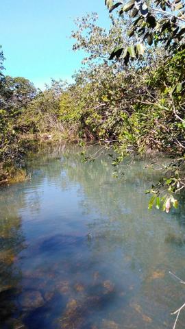 Sitio região lago do manso - Foto 4