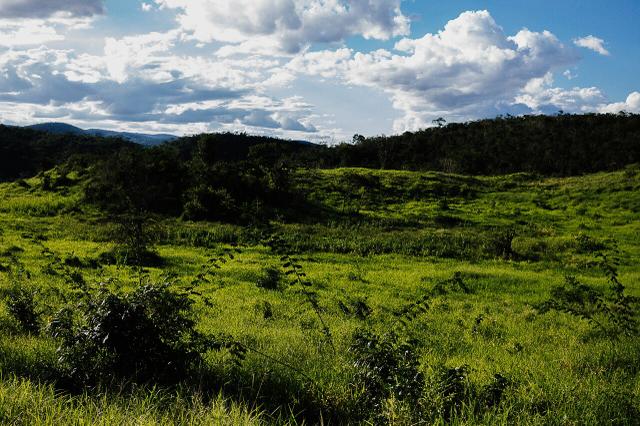 Magnífica fazenda 3.330 tarefas, a 23 km de jequié, br 116 na porta - Foto 10