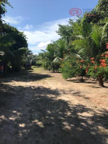 Chácara à venda, 38 m² por R$ 1.100.000 - Iguaíba - Paço do Lumiar/Maranhão - Foto 6