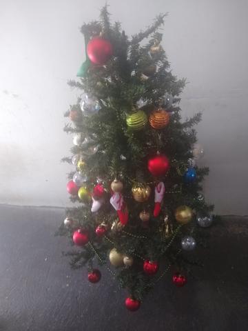 Árvore Natal