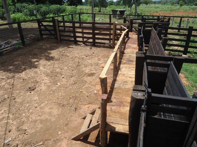 Fazenda formada, 200 hectares 100% asfaltoa Cuiabá, na BR - Foto 19