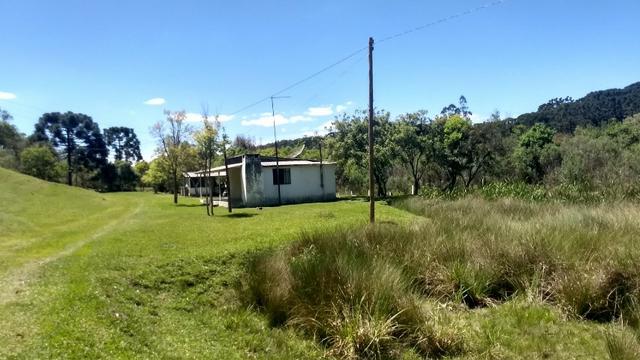 Para Criação de ovelhas - Foto 4