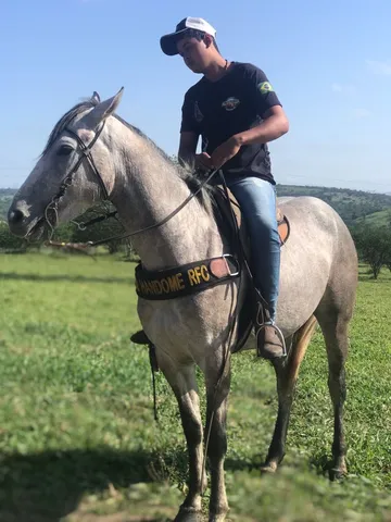 Cavalo de esteira - Cavalos e acessórios - Boca da Mata 1256655255