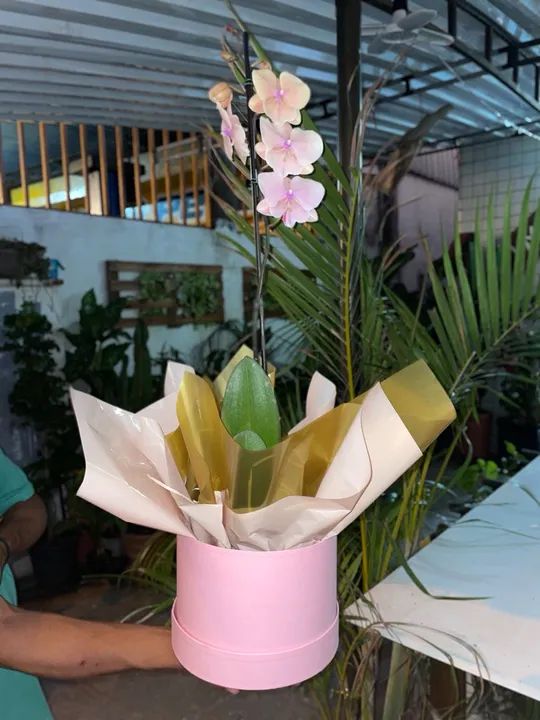 Flores naturais - Foto 5