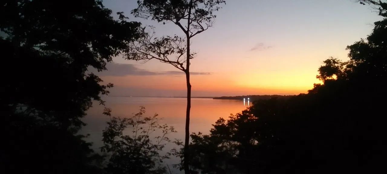 Ilha Particular para progeto de apicultura,eventos,e outros...