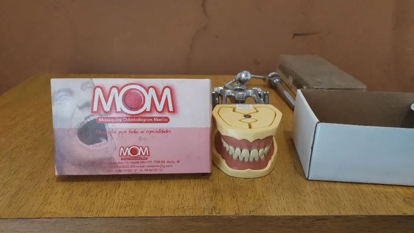 Manequim Odontológico
