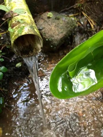 Excelente terreno em Piedade - Foto 7