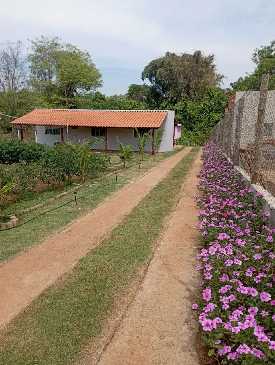 Chácara/Rancho 1.050m2 - Foto 2