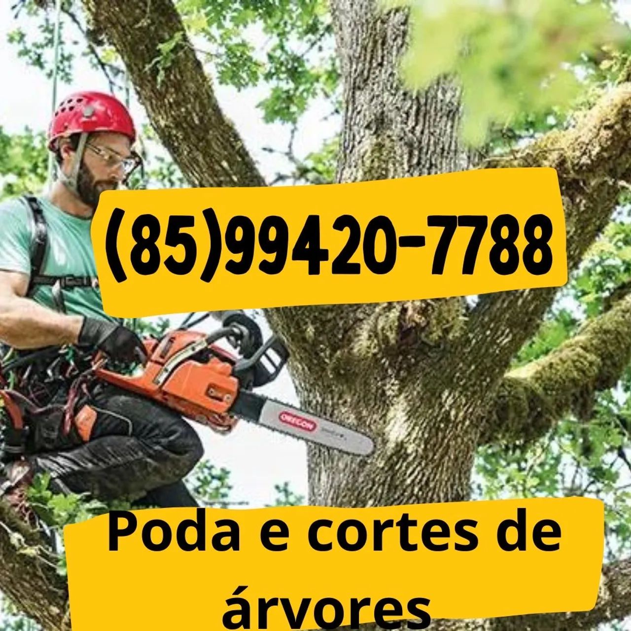 Poda de árvores, corte de árvore e limpezas em geral! Menor preço da região