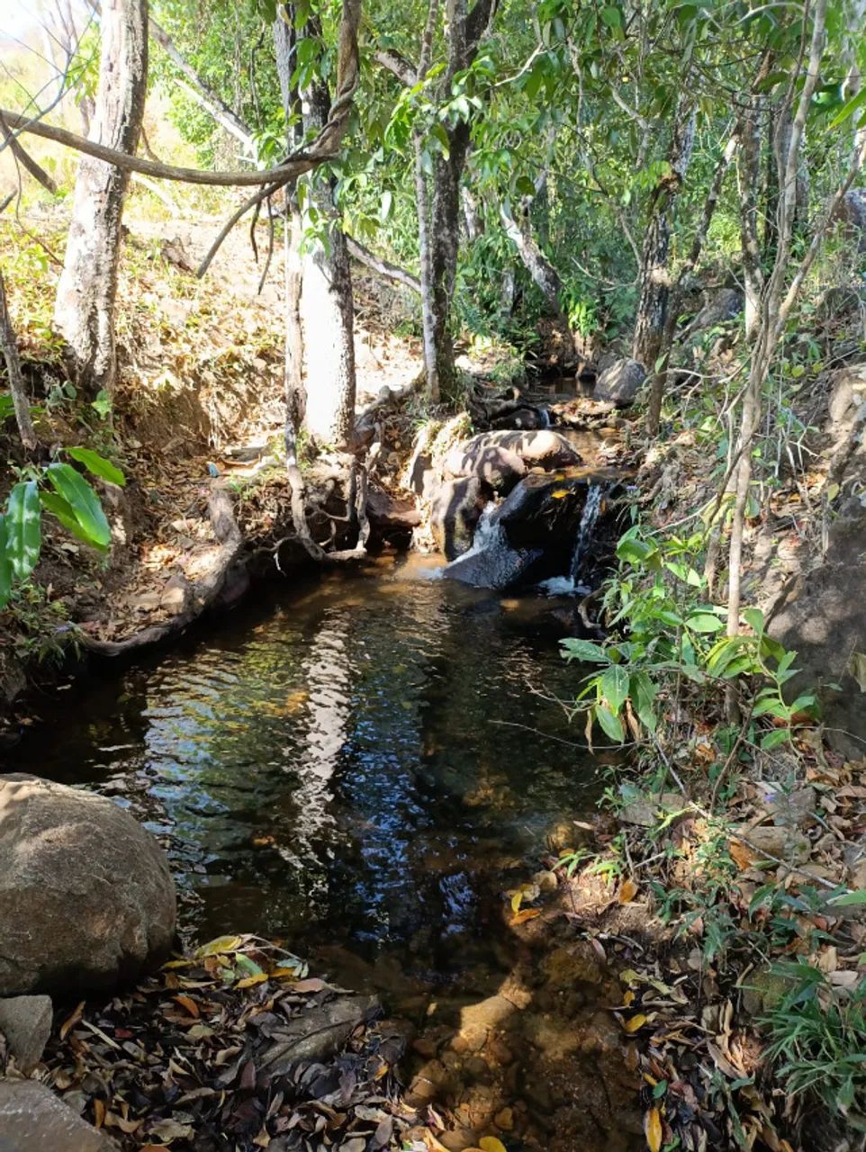 linda chacarra a 11 km da Jk com muita água - Foto 5