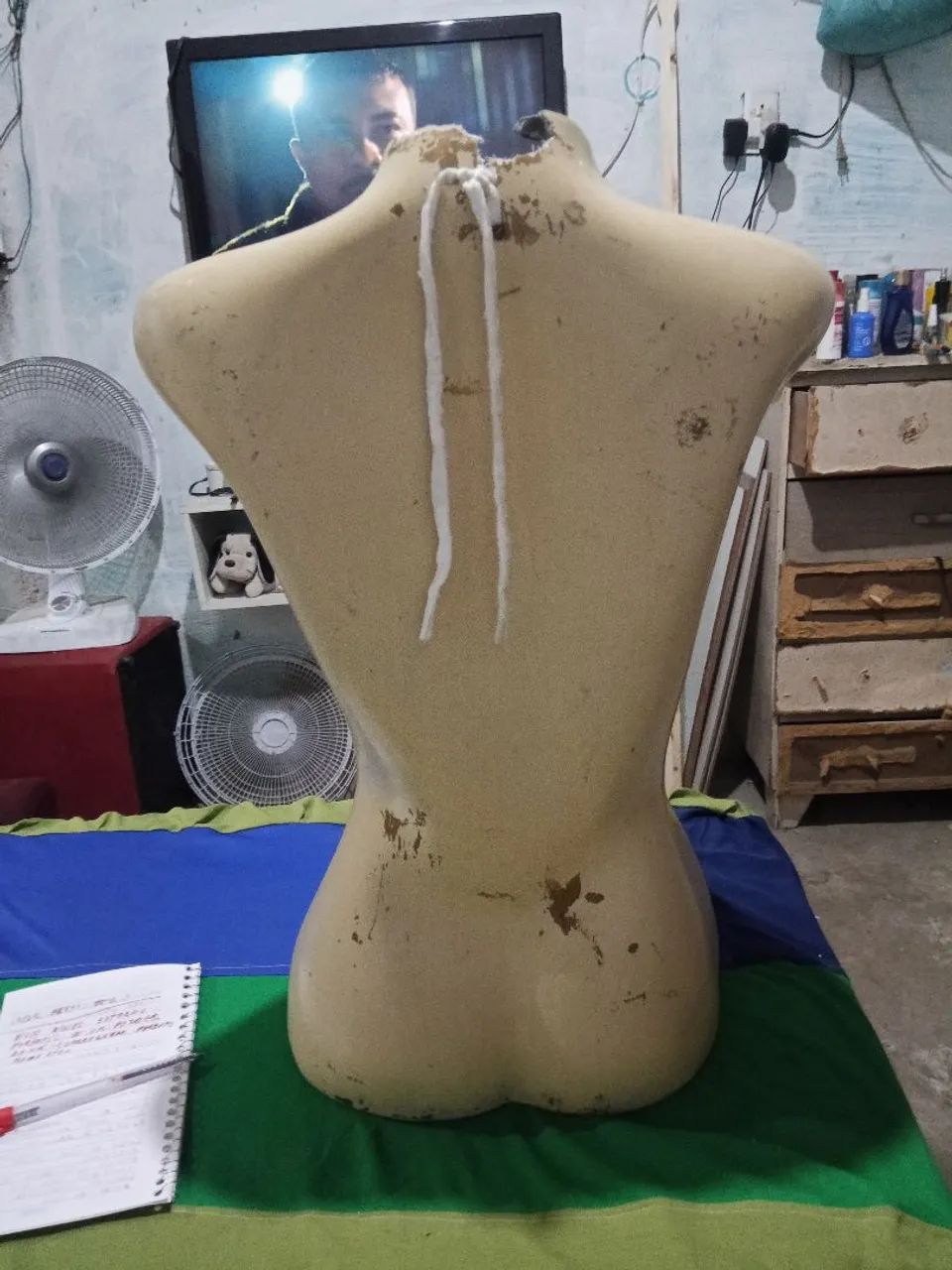 Manequim feminino  - Foto 2