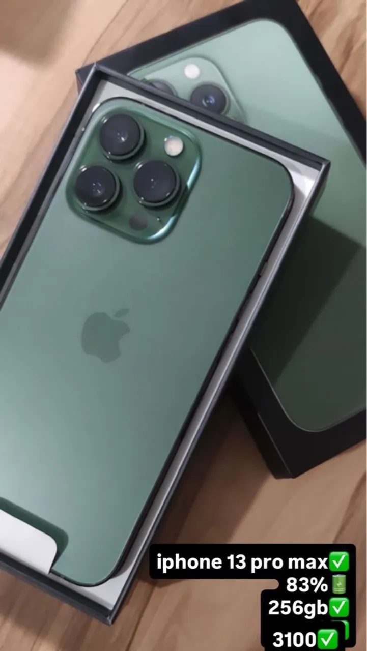 iPhone 13 Pro Max