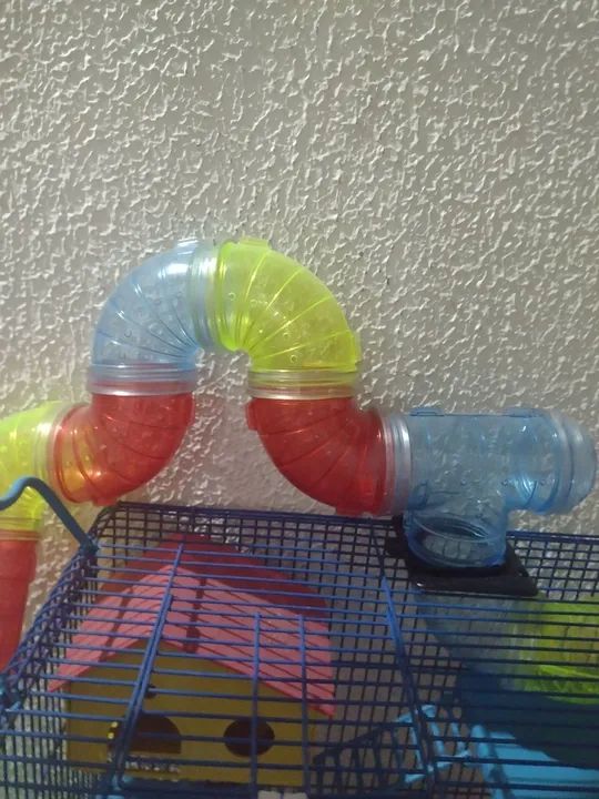 Combo Hamster! Conjunto vem o hamster e a gaiola - Foto 3