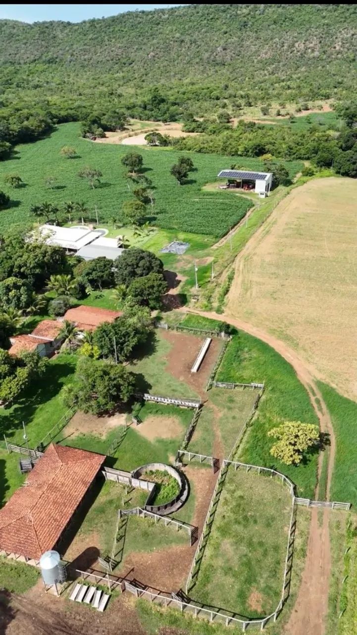FAZENDA ESPETACUAR À VENDA - 580 HECTARES - UNAÍ - MG - Foto 4