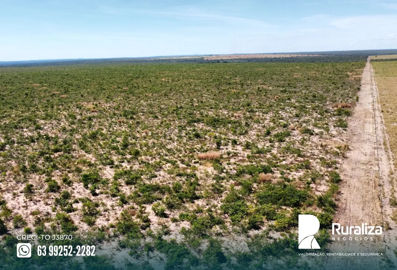 Rio Sono - TO Destaque: Rio Sono TO, R$ 20.645,00/hectare útil, 100% plana.
