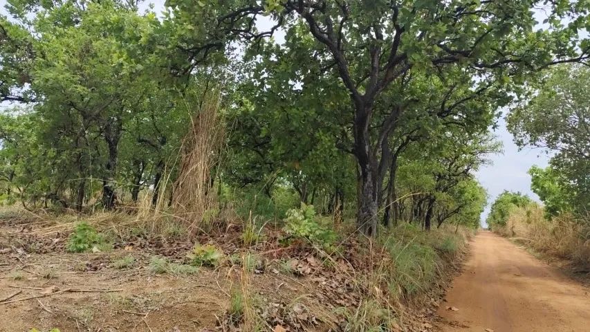 CHÁCARA RURAL EM GURUPI - TO - ACEITA PERMUTA COM IMÓVEIS EM PALMAS - Foto 2