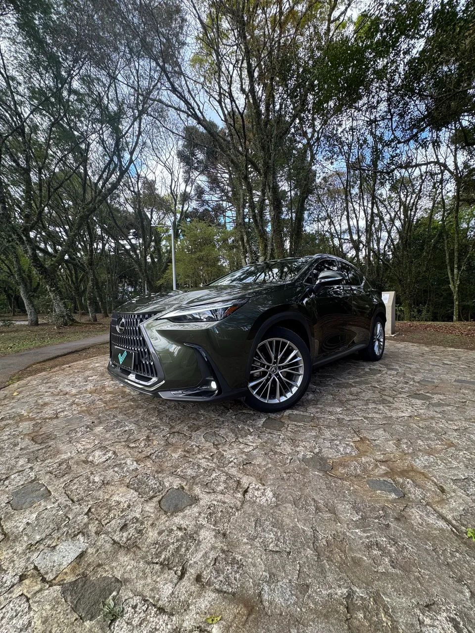 Lexus NX-350h Luxury 2.5 16V Aut. (hybrid), foto 8 de 20