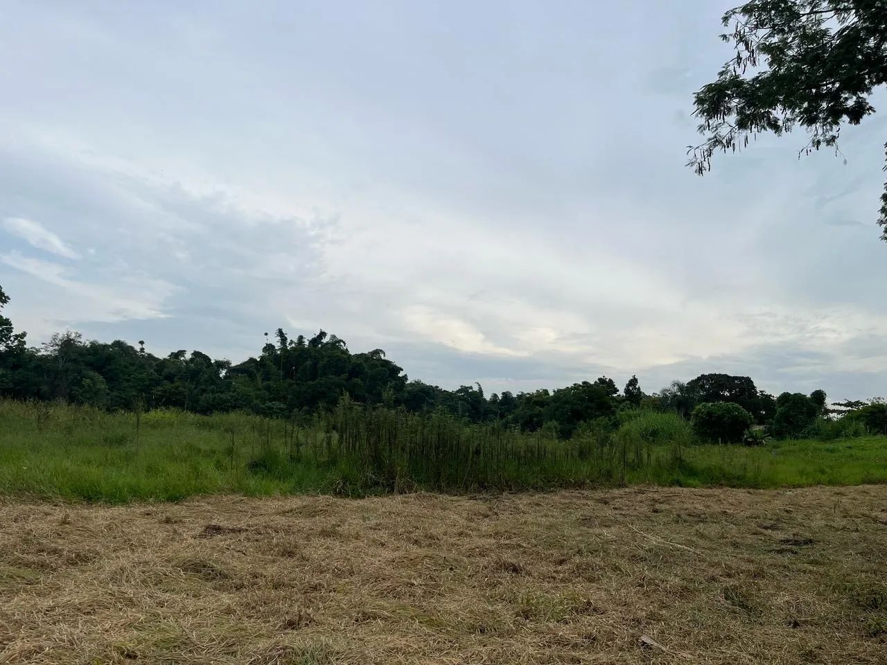 Excelente oportunidade - Terreno plano em Taubaté 1.183m² - Foto 2