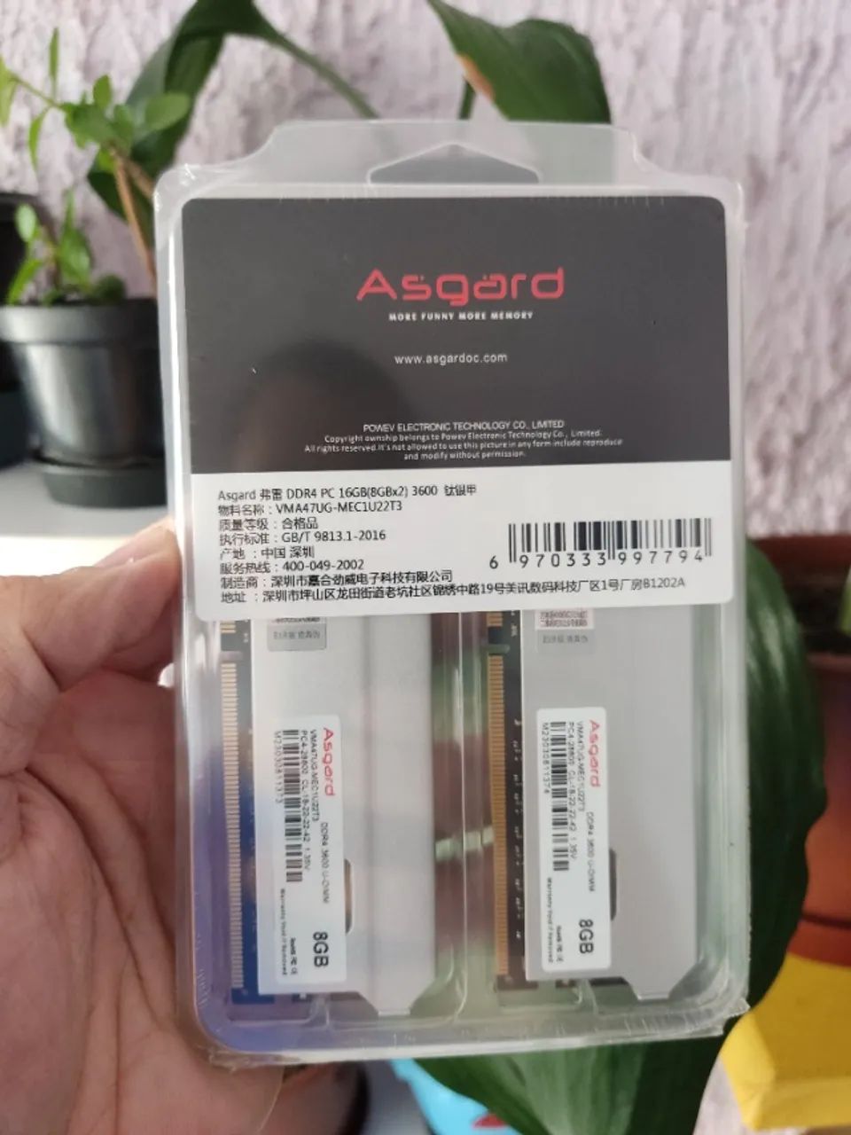 Asgard Freyr DDR4 3600MHz (2x8GB) 16GB Sealed Memory Kit64396502495618121