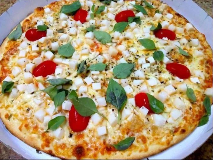 Pizzaiolo profissional disponível  - Foto 5