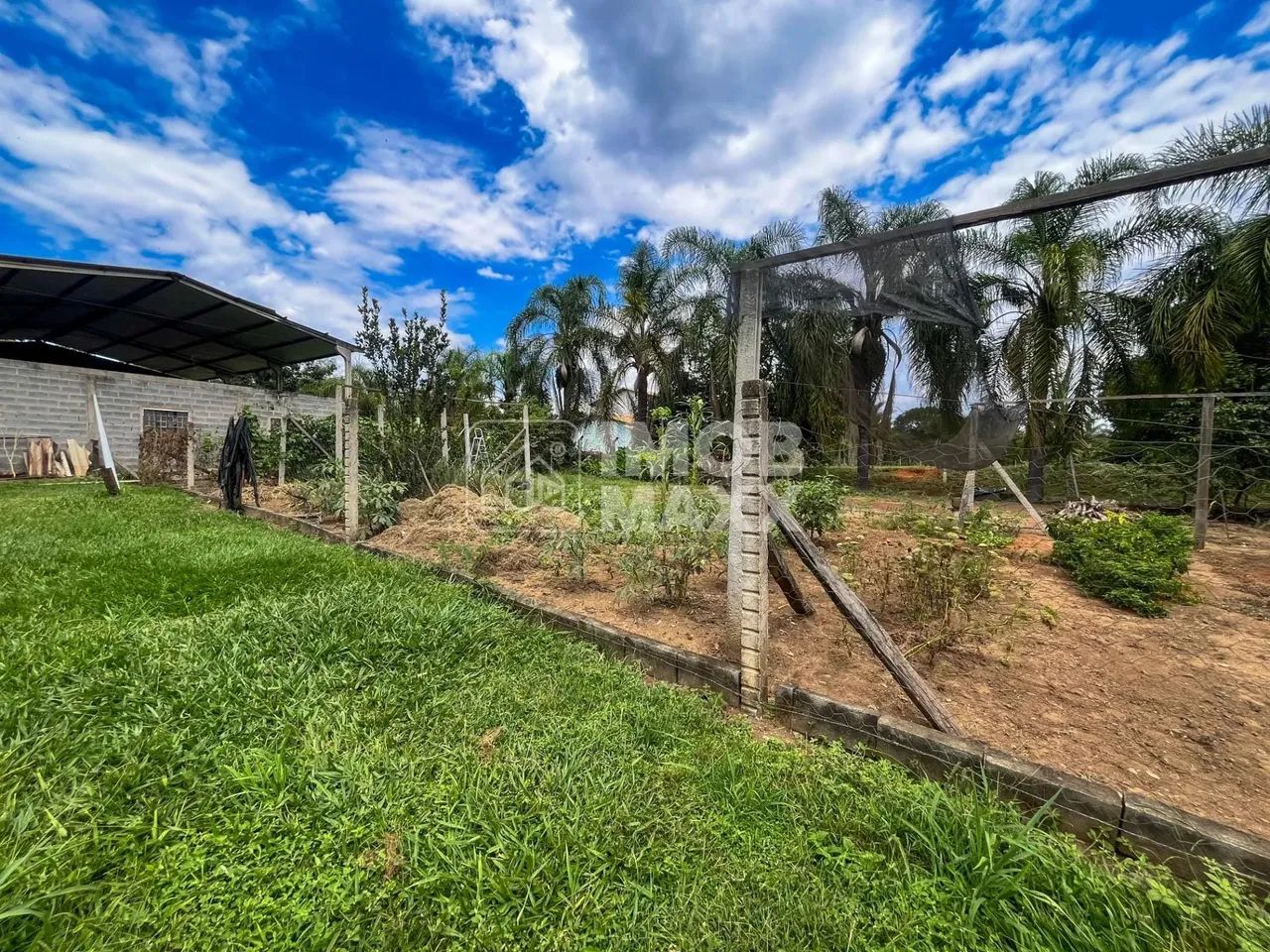 Chácara a venda formada - DF250 km 9,7 - Água corrente - Fazenda Velha - Foto 11