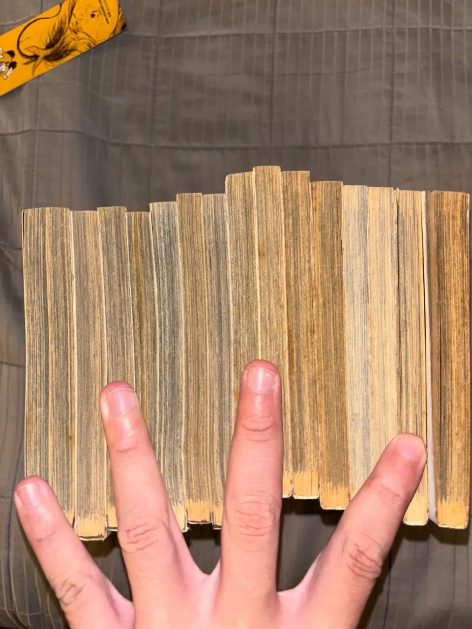 Homunculus Coleção Completa - 15 Volumes - Foto 2