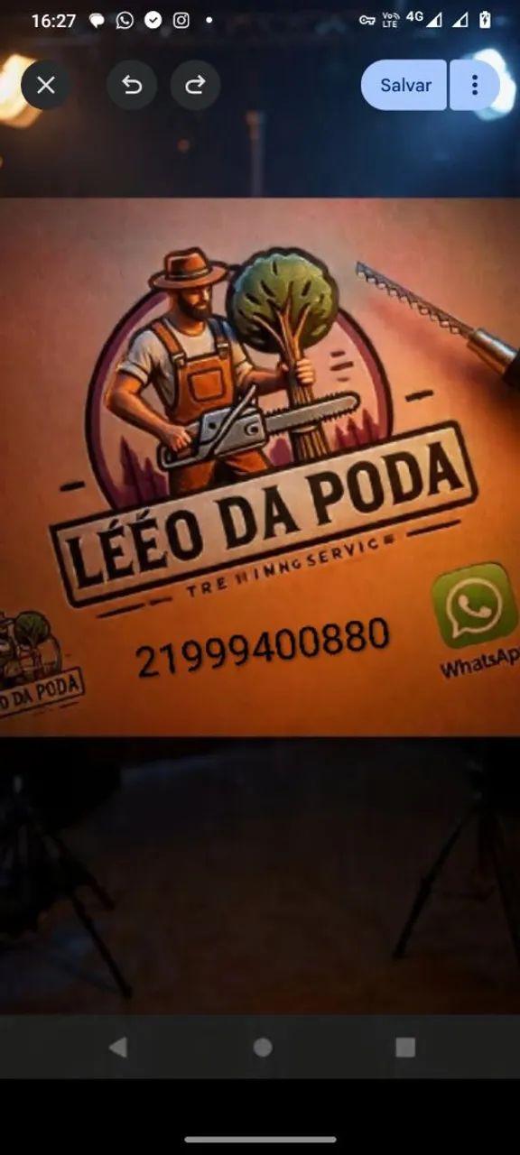 Poda e corte de árvores 449260997429186562